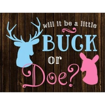 GENDER REVEAL BUCK DOE Birthday Cake Topper Edible Image 1/4 Sheet Frosting