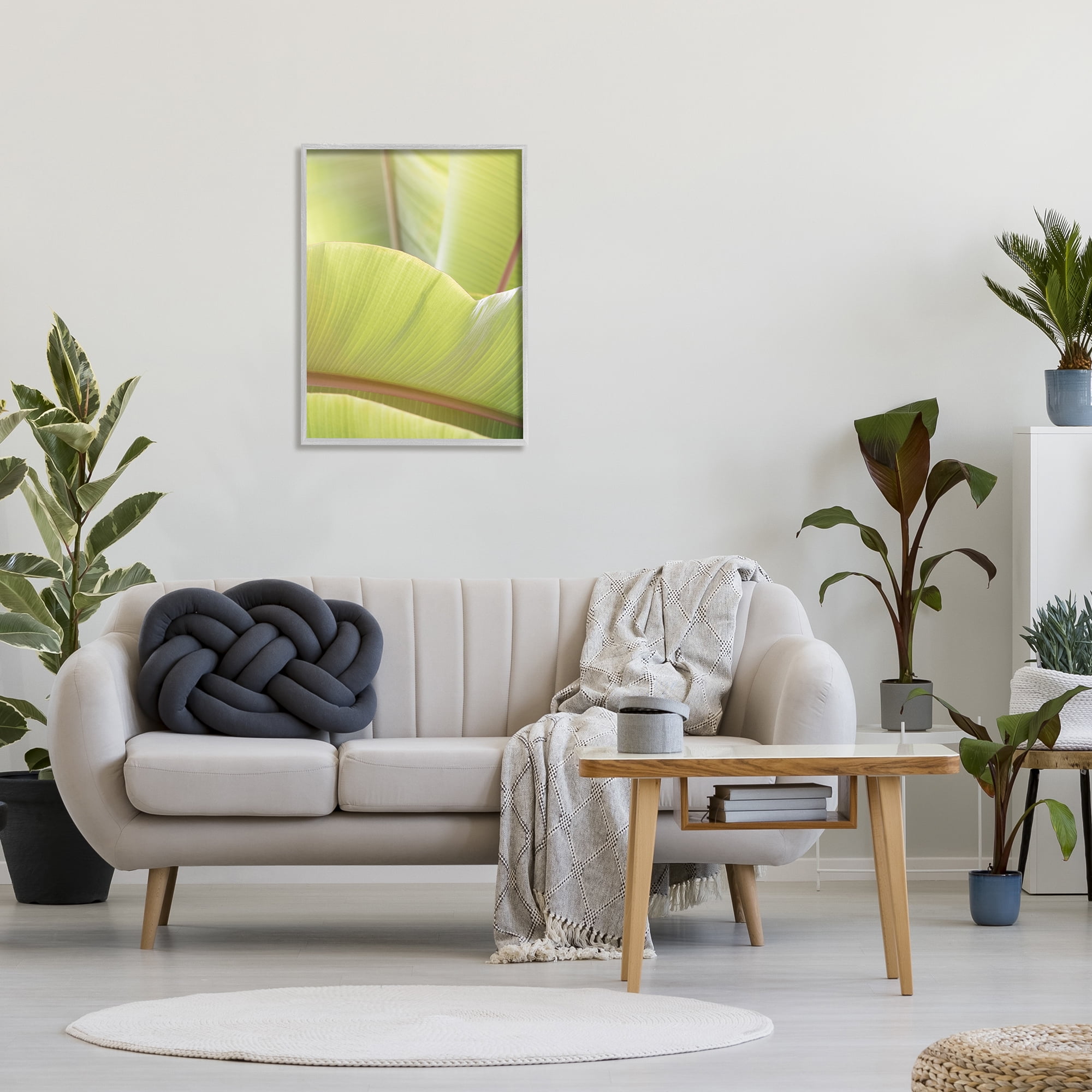 Stupell Modern Botanical Close Up Leaf Botanical & Floral Photography Gray Framed Art Print Wall Art