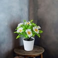 thumbnail image 5 of Ltdhehe Bonsai Desk Arrangement Home Centerpiece Wedding, 5 of 5