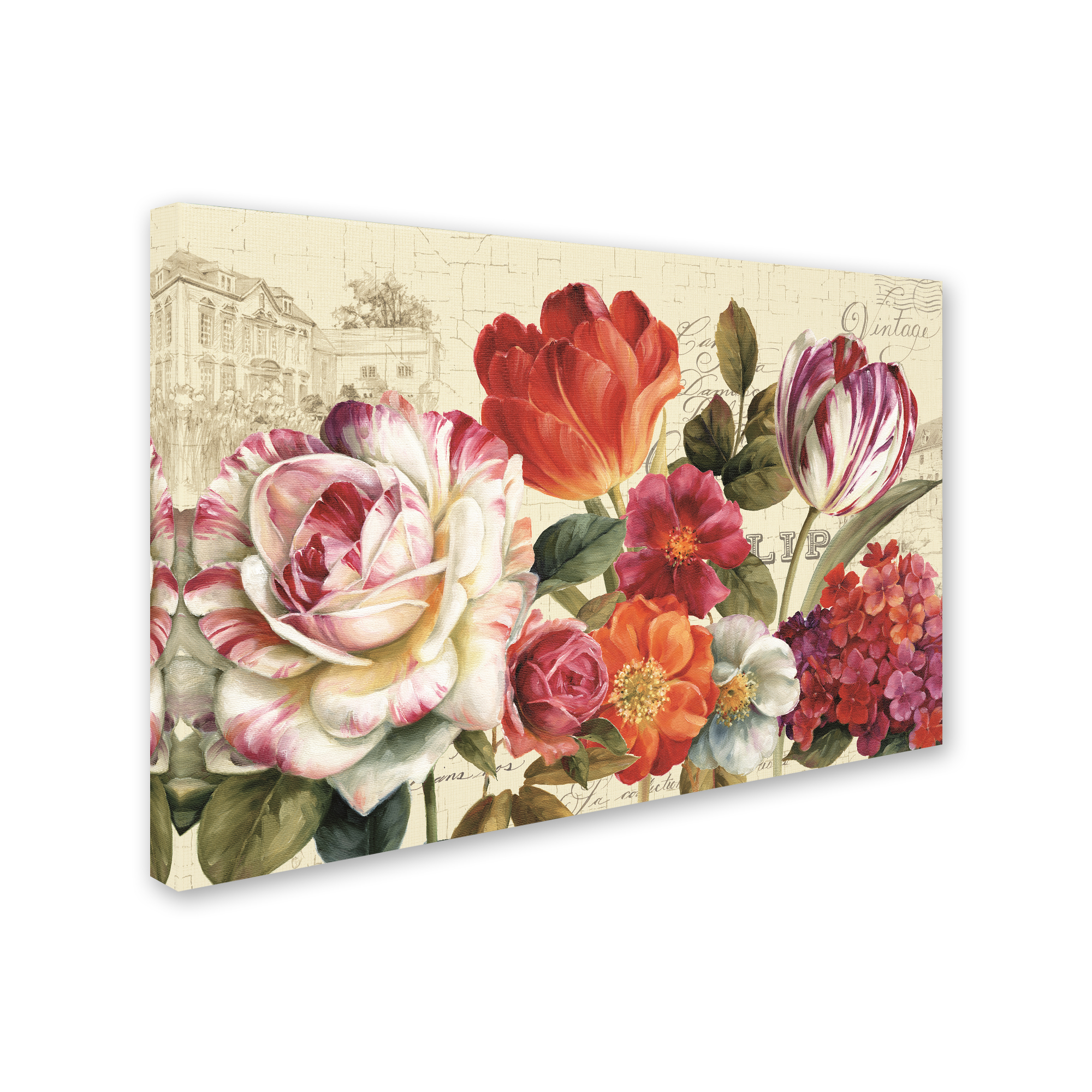 Trademark Fine Art 'Garden View I without Border' Canvas Art by Lisa Audit