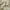 Beige, variant on THD Virginia 100% Blackout Grommet Total Privacy Curtain Panels - Set of 2