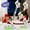 Purple Black, variant on 55-70KPA Lightweight Cordless Vacuum | 45Min Runtime, Removable Battery, Multi-Suction Levels, Green LED Anti-Tangle Brush | For Carpets, Pet Hair, Hardwood Floors, Car Use
