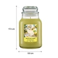 thumbnail image 2 of Vela Aromatica Hometrends Pina Colada Frappe Aroma 500 G, 2 of 4