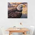 thumbnail image 2 of Orinice Eagle Bald Majestic Fine Art Aesthetics Printed wall murals for classrooms, kitchens, offices, farmhouses, bathrooms, room decor pictures, wall art paintings, living room, bedrooms,   offi, 2 of 6