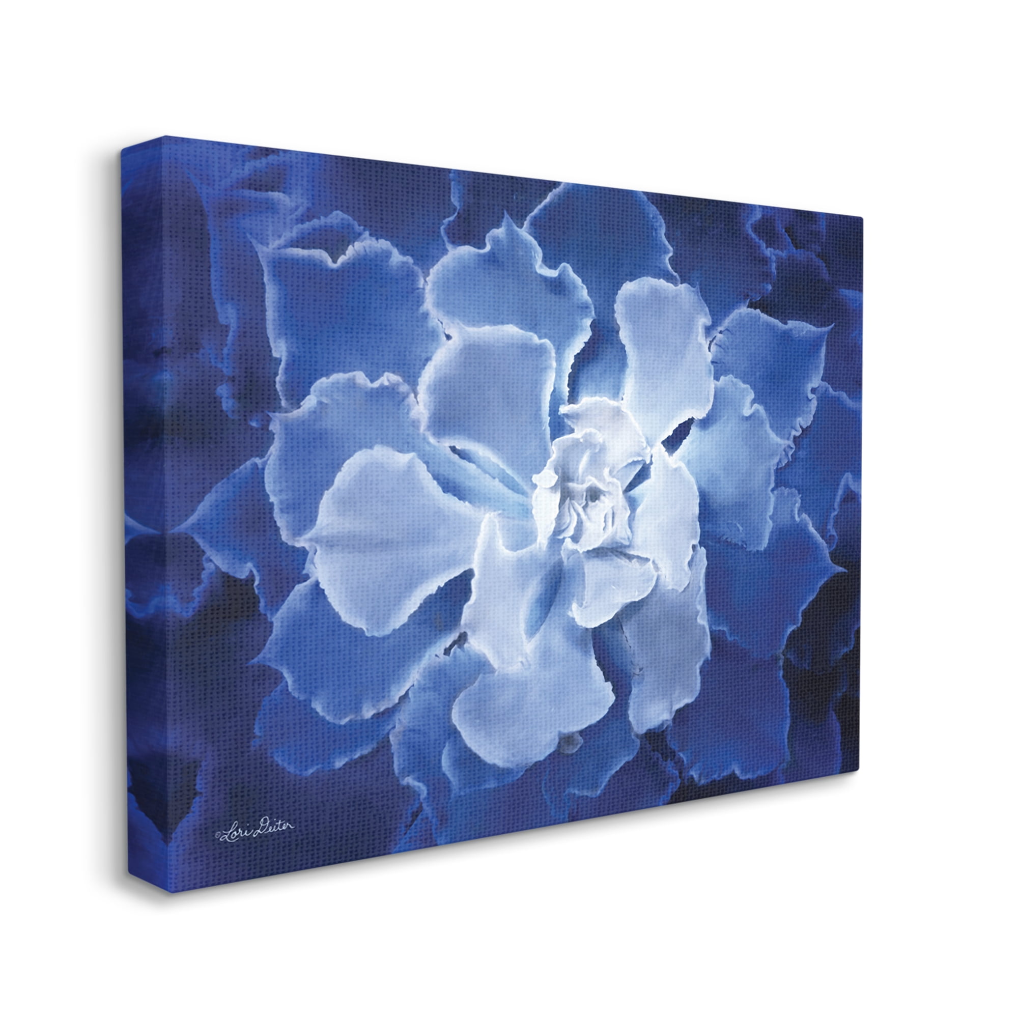 Stupell Industries Ice Wind Petal Pattern Blue Monochromatic Plant Photograph,40 x 30, Design by Lori Deiter