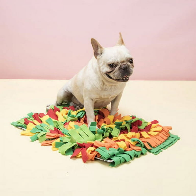 Cheers.US Pet Snuffle Mat for Dogs Sniff Mat Nosework Feeding Mat