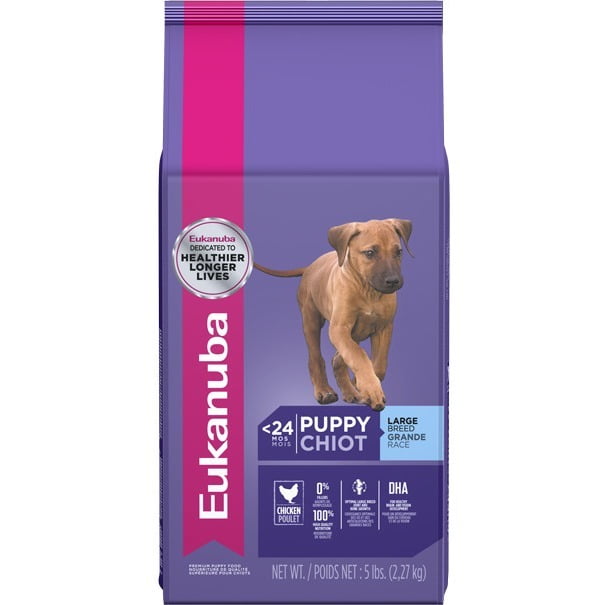 eukanuba junior medium