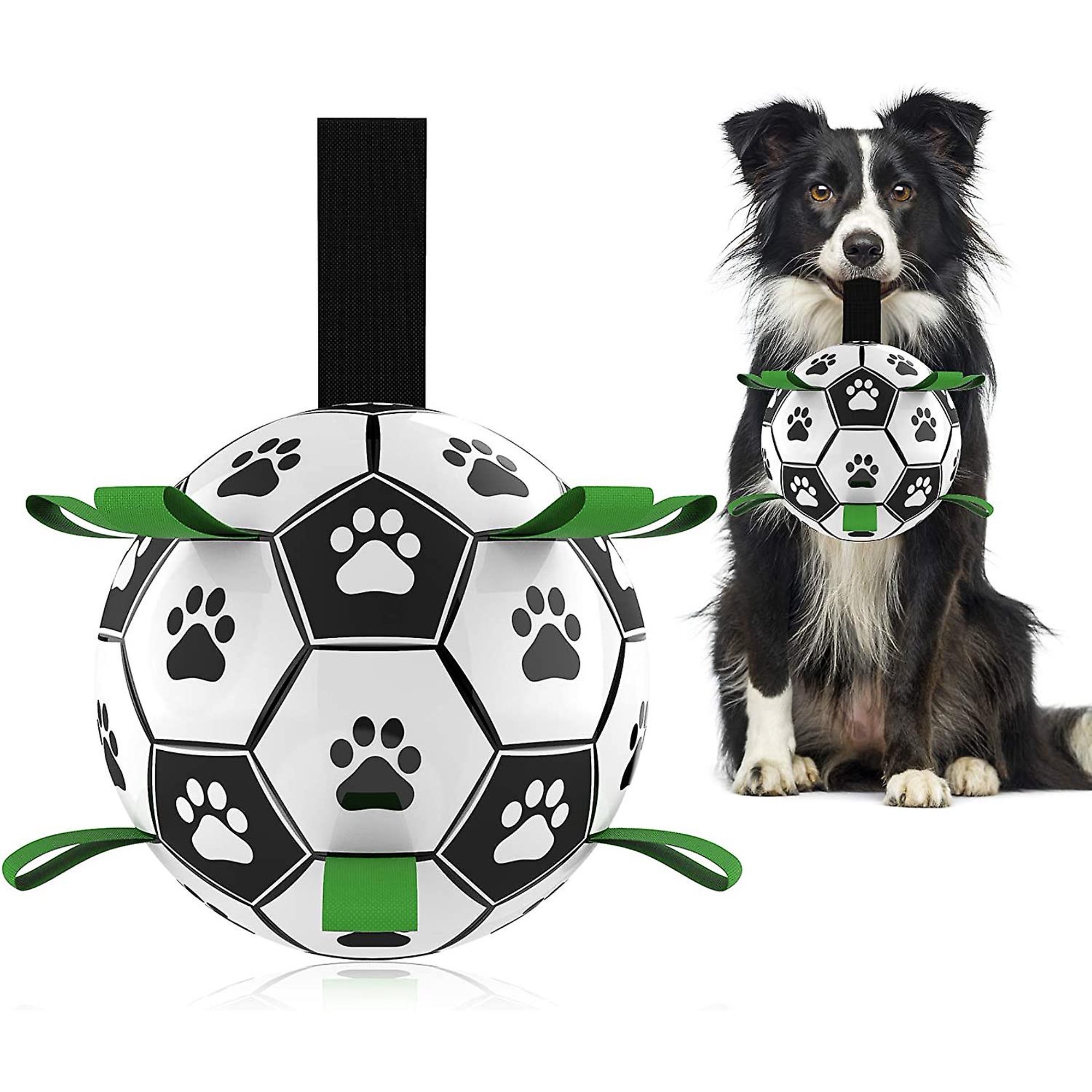 Why Are Dogs Balls Black