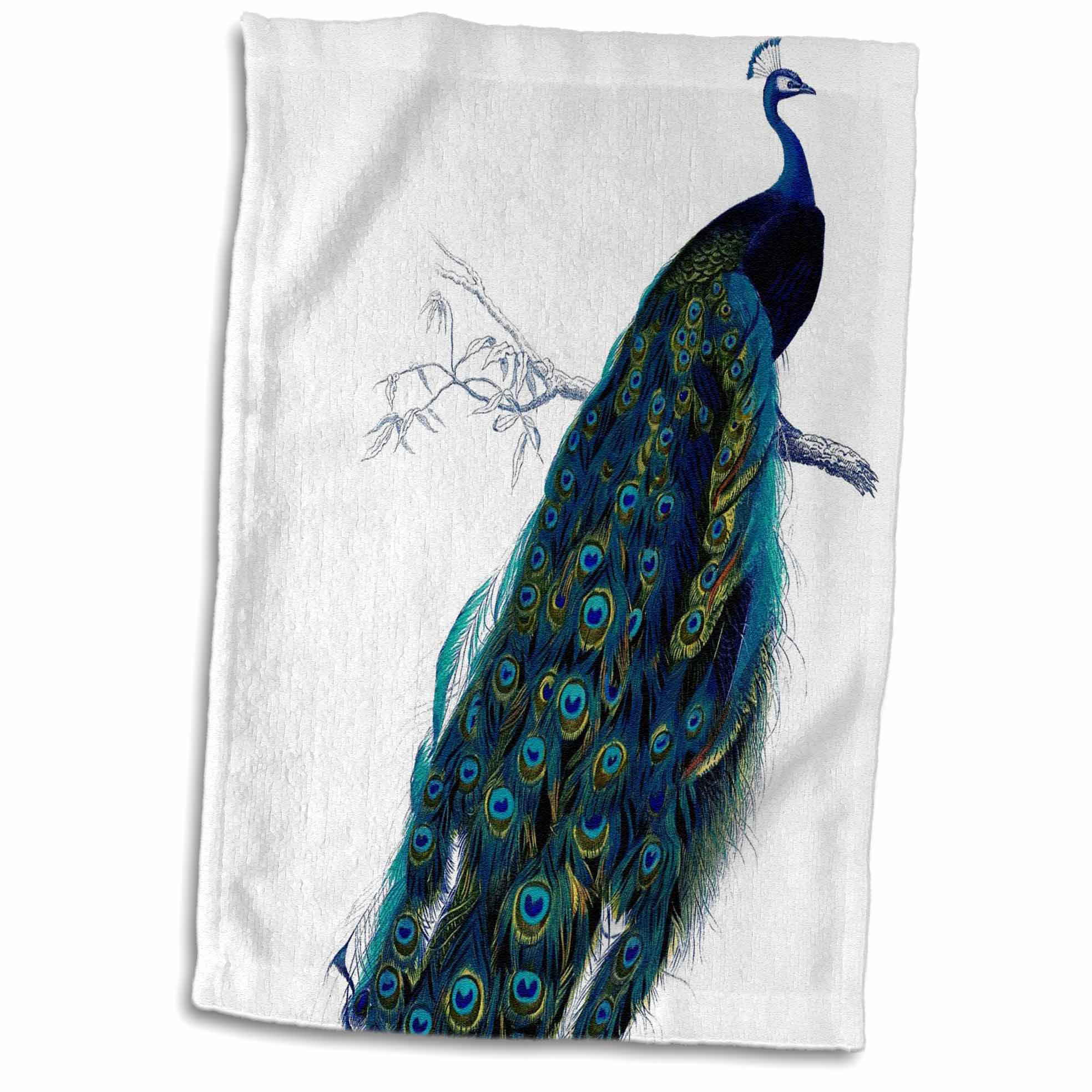 3dRose Beautiful Vintage Peacock Towel, 15 by 22inch