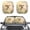 Hummingbird Floral, variant on Bulopur Funny Cat Car Windshield Sun Shade Block UV Rays Vehicle Sun Shade Windshield Keep Your Vehicle Cool Window Sun Blocker for Car Exterior Decorative Accessory for Most Cars