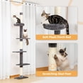 thumbnail image 4 of Cat Tower PETEPELA, del suelo al techo, de 5 niveles, con rascador, 4 of 7