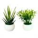 thumbnail image 1 of Juego de 2 plantas en maceta Mini plantas Pequeñas plantas artificiales decorativas con maceta de plástico blanco para el hogar, 1 of 7