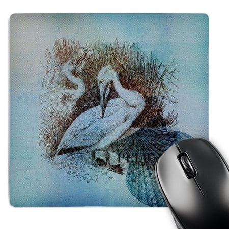 3dRose  Aqua Pelican Beach Theme Art  MousePad price history on PriceWatchPro