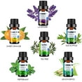thumbnail image 2 of Essential Oils Set for Diffusers - Home Aromatherapy Oils Gift Set, 100% Natural Diffusers Oils Scents for Home, 6x10ML (Lavender, Eucalyptus, Lemon Grass, Sweet Orange, Peppermint, Tea Tree), 2 of 5