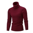 thumbnail image 1 of MYG Pull Décontracté à Col Roulé Slim Chaud à Manches Longues Tops Tricot Grande Taille, 1 of 9