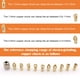 thumbnail image 1 of Juego de 13 pinzas para Dremel, repuesto Mellbree 4485, incluye 12 pinzas (0,8 mm, 1,0 mm, 1,2 mm, 1,5 mm, 1,6 mm, 1,8 mm, 2,0 mm, 2,3 mm, 2,4 mm, 3,0 mm y 3,2 mm) y una tuerca de pinza, 1 of 7
