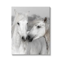 White Horse Kiss Wildlife Animals & Insects Photograph Gallery Wrapped Canvas Print Wall Art