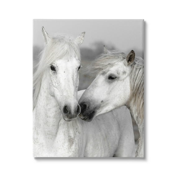 White Horse Kiss Wildlife Animals & Insects Photograph Gallery Wrapped Canvas Print Wall Art