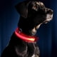 thumbnail image 5 of Collar de perro LED Collar de perro LED brillante Collar de perro recargable USB (Rojo M), 5 of 6