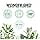 thumbnail image 3 of Wonder Gro Aloe Vera Activator Gel, 20 fl oz - Non-Flaking, Alcohol-Free - Defines Curls & Waves, 3 of 4