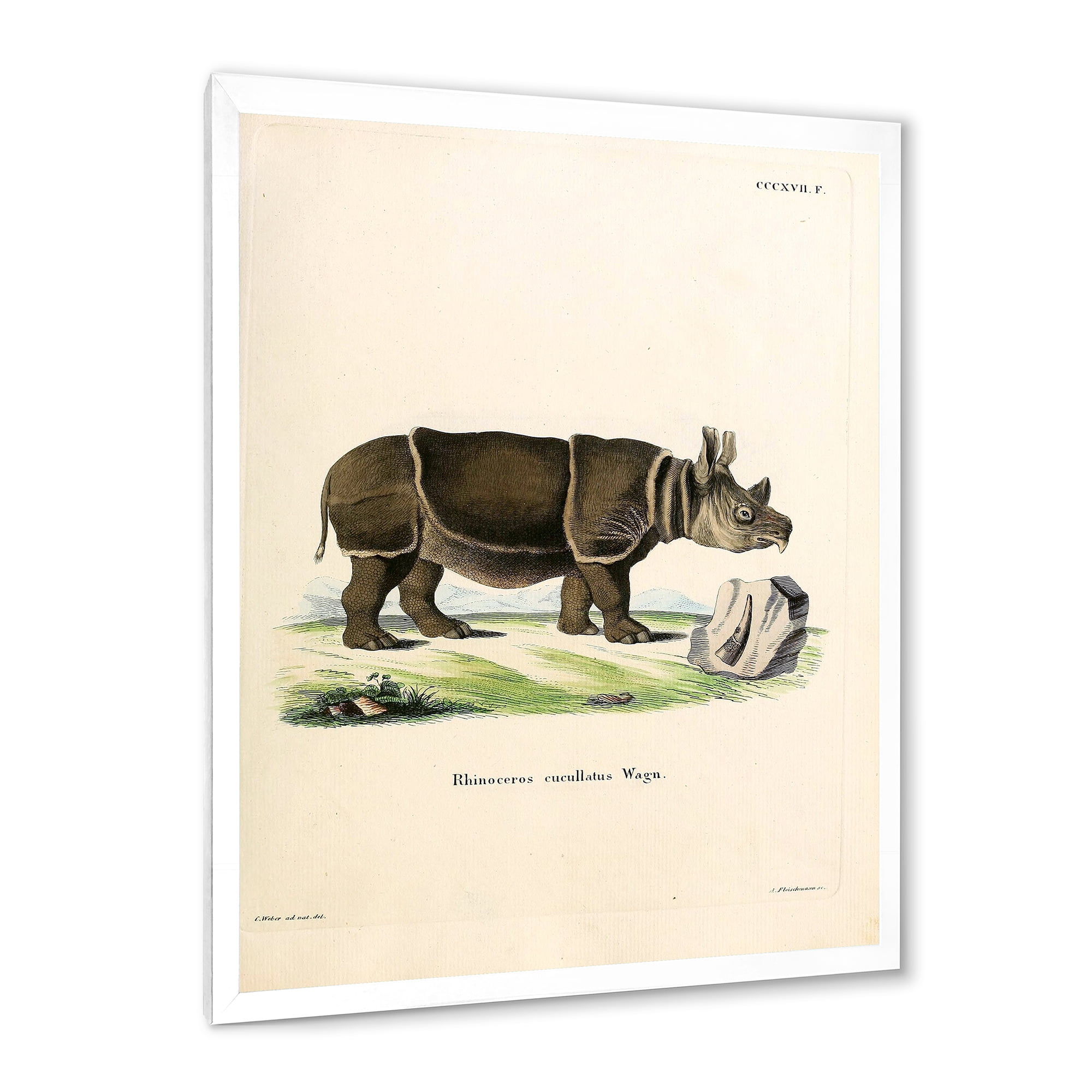 Designart 'Ancient Rhinoceros' Farmhouse Framed Art Print