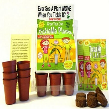 Close In Patio Ideas TickleMe Plant Greenhouse garden kit with science activity card to