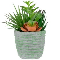 Northlight 8.5" Mixed Succulent Artificial Potted Arrangement - Green/Brown