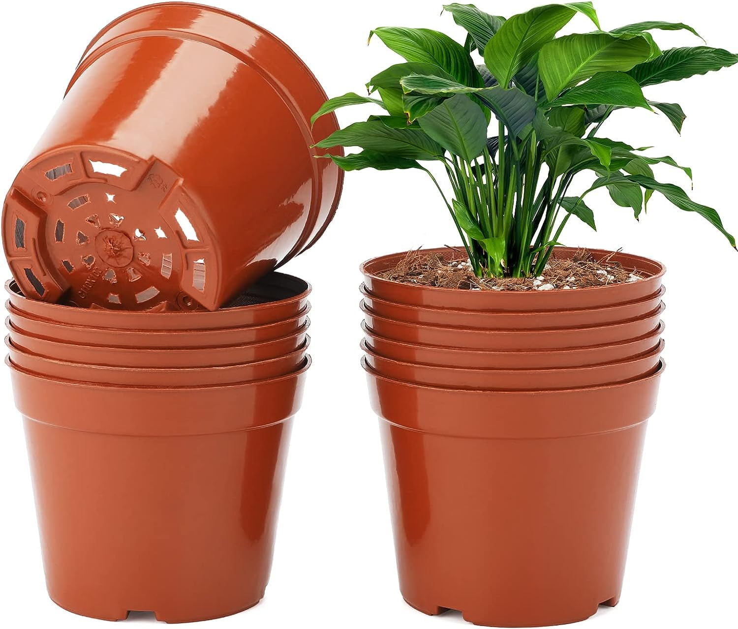 20 Pieces 10CM Small Flower Pots for Seedlings, Plastic Plant Pot