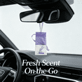 thumbnail image 5 of RAGUPEL 2026 New 22Pcs Lavender Sachet Bags for Drawer & Closet Deodorizer, for Closets, Drawers, Storage, Luggage, Cars, Shoes., 5 of 5