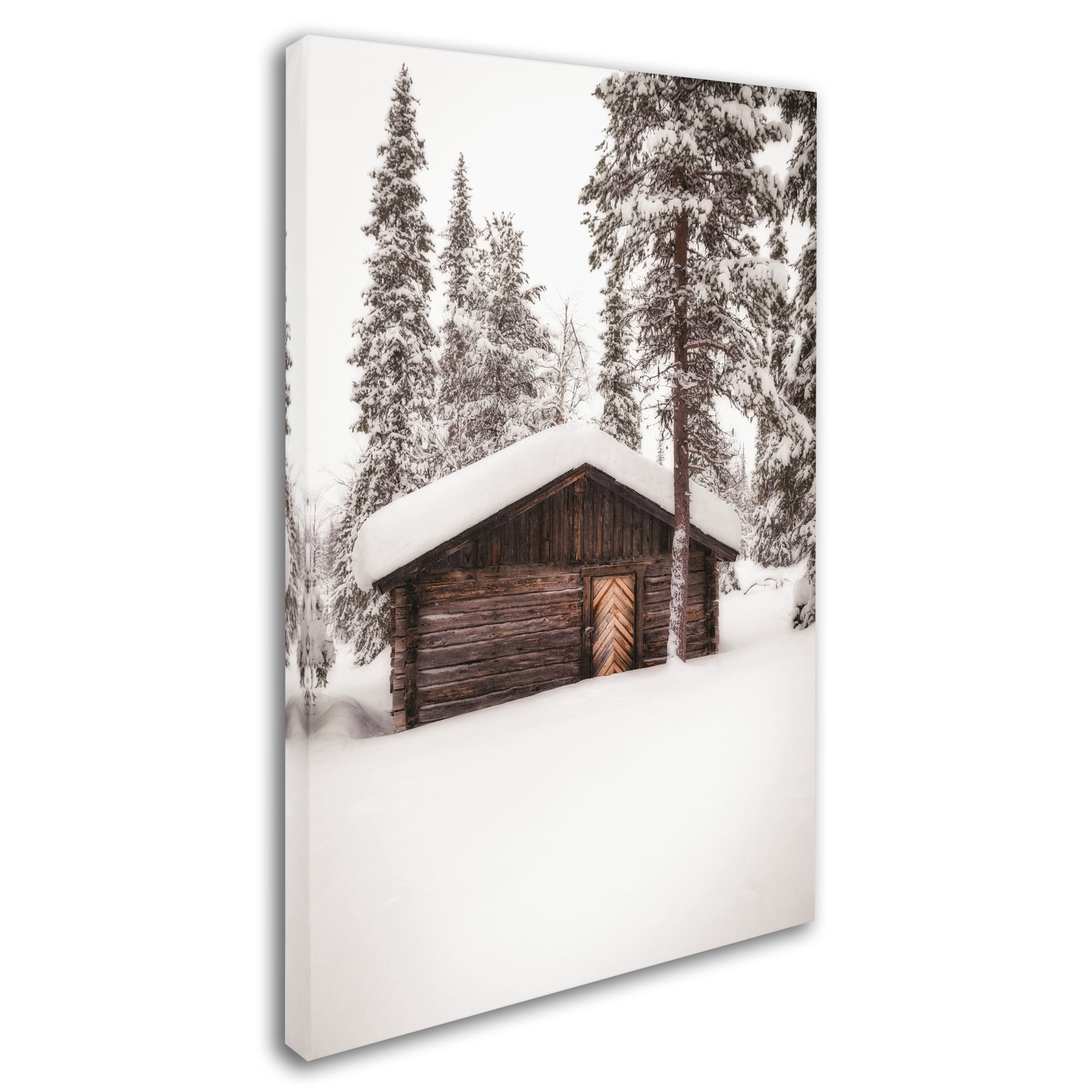 Trademark Fine Art 'Snow of Finland' Canvas Art by Philippe Sainte-Laudy