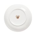 thumbnail image 4 of Pet Portrait White Porcelain Side Print 8" Plate Set - I Love Labradors, 4 of 5