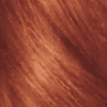 8SC Medium Copper Blonde