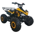 thumbnail image 4 of X-Pro Brand New 125cc Gas ATV, Automatic Transmission w/Reverse Remote Control Big 19"/18" Tires, 4 of 5