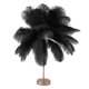thumbnail image 2 of Lámpara de mesa decorativa con 30 plumas, recargable por USB, control táctil, color negro, 2 of 14