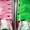 Green Pink, variant on Wicked Women's High Top Sneakers, Sizes 6-11