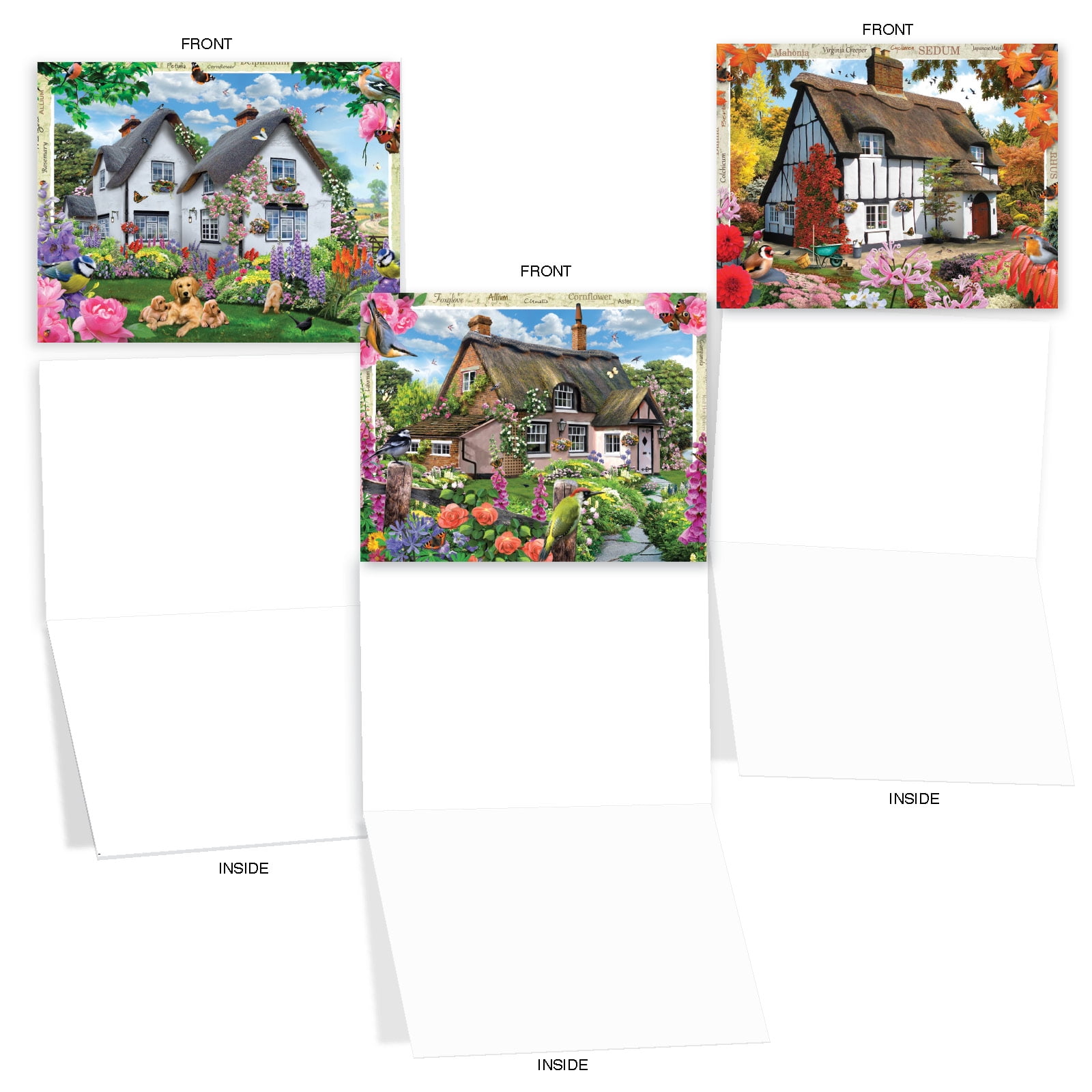 10 Assorted All Occasion Blank Note Cards Boxed COTTAGE LIFE M6644OCB 
