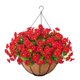 thumbnail image 5 of Plantas decorativas en cesta colgante, arreglo floral artificial para porche. Rojo, 5 of 9