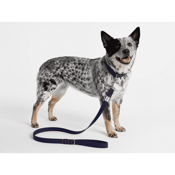 Kacey Lee® Denim Standard Dog Leash, Blue, 6 ft