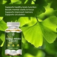 Remingo Ginkgo Biloba 500MG Support Health Brain Antioxidant Help Fight