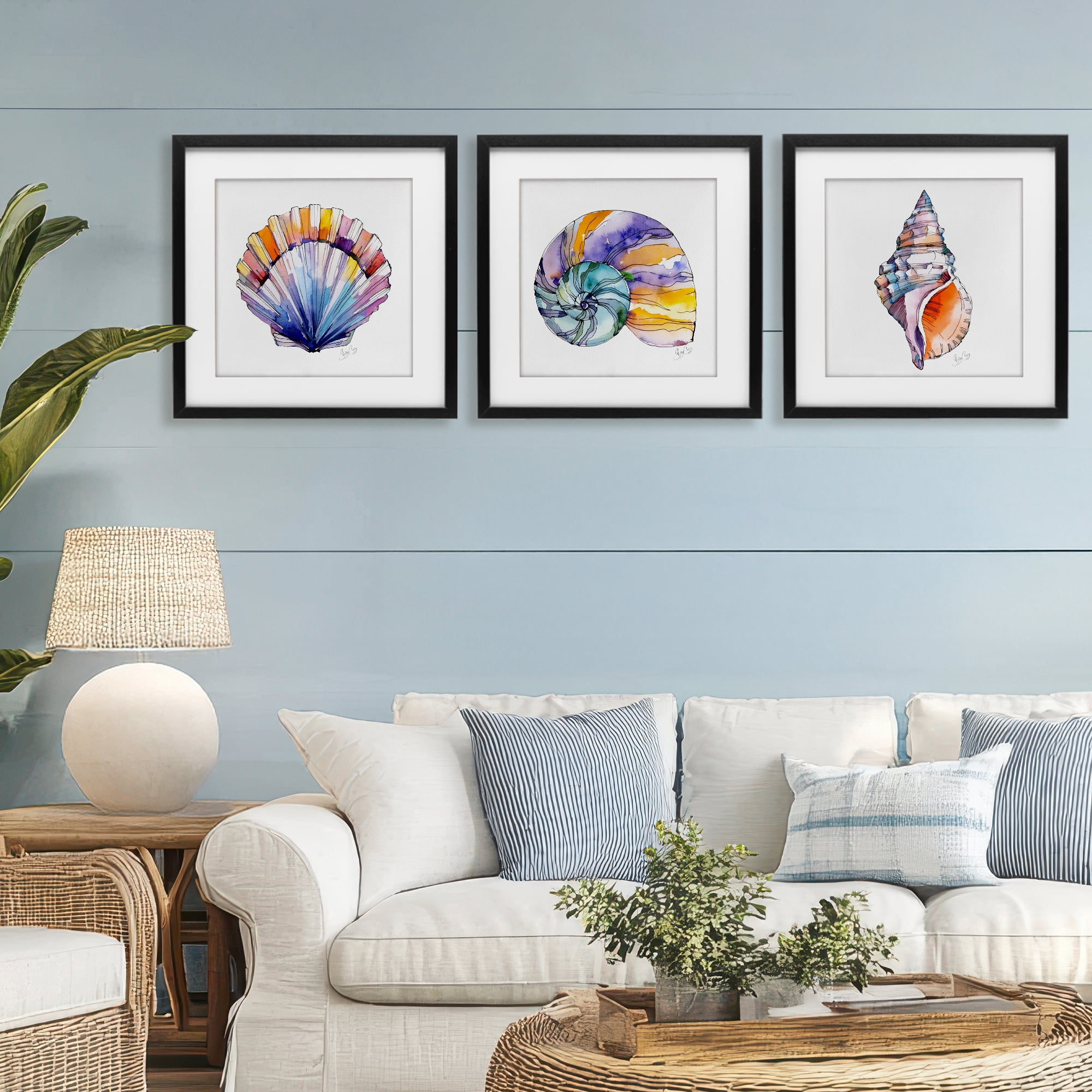 Stupell Industries Sunlit Seashells Watercolors 3 Piece Black Framed Print Under Glass Set, design by Shelly Craig
