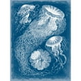 thumbnail image 3 of Vision Studio 15x18 Black Modern Framed Museum Art Print Titled - Marine Blueprint II, 3 of 5
