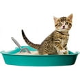 thumbnail image 2 of Cat Litter Scoop.SNNROO. Metal, Black、Gray., 2 of 5