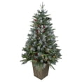 thumbnail image 2 of Northlight 4' Pre-Lit Frosted Mixed Berry Pine Artificial Christmas Tree in Pot - Clear Lights, 2 of 6