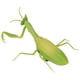 thumbnail image 3 of Mantis de control remoto, RC Mantis niños juguete de mantis simulado insecto de control remoto construido para profesionales, 3 of 12
