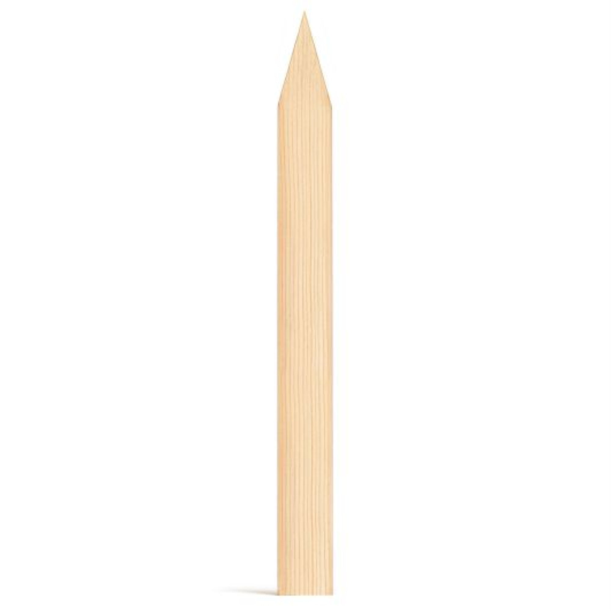 36 36