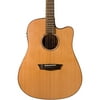 Washburn WD160SWCE Solid Wood Acoustic Electric Guitar Natural