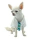 thumbnail image 1 of Guayabera para Perro Mascotti Alebrijes XL, 1 of 3