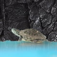 thumbnail image 3 of Shisuyan Fond de Roche Simulé Réservoir de Reptiles Terrarium Décor de Fond Stéréo, 3 of 9