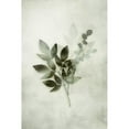 thumbnail image 3 of Haase, Andrea 13x18 Black Modern Framed Museum Art Print Titled - Tropical Night in Green I, 3 of 5