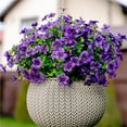 thumbnail image 3 of Outdoor Artificial Daffodils Plants - Fade Proof Faux Violet Plants for All Weather, Porch, Patio, Garden Decor - Hanging Planter Flowers, 3 of 7